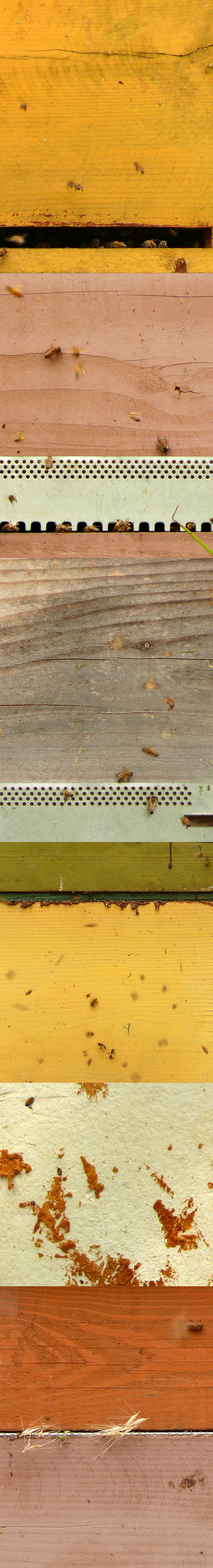 C.& L.2