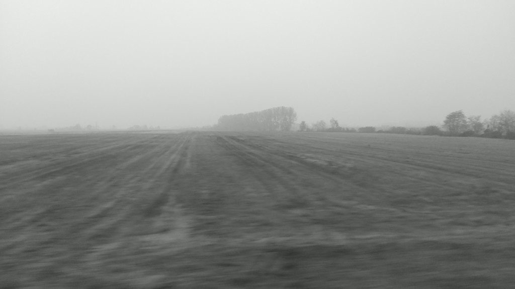 daltreno-2