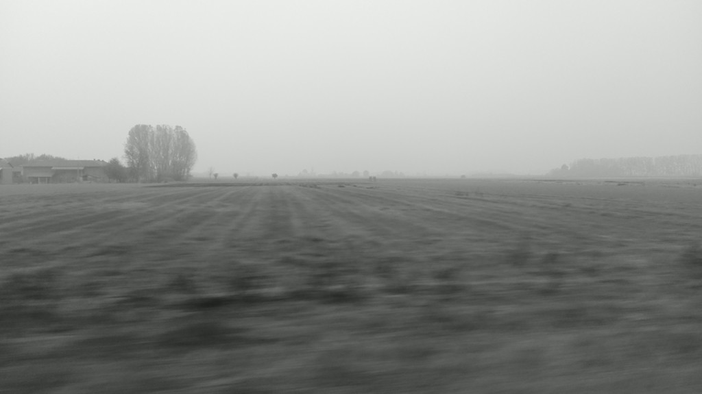 daltreno-3