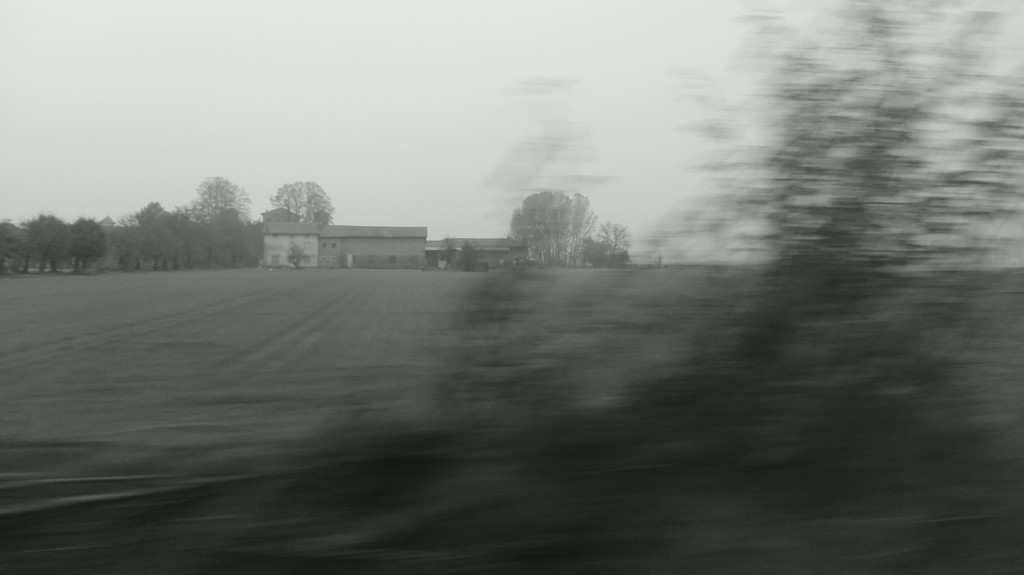 daltreno-5