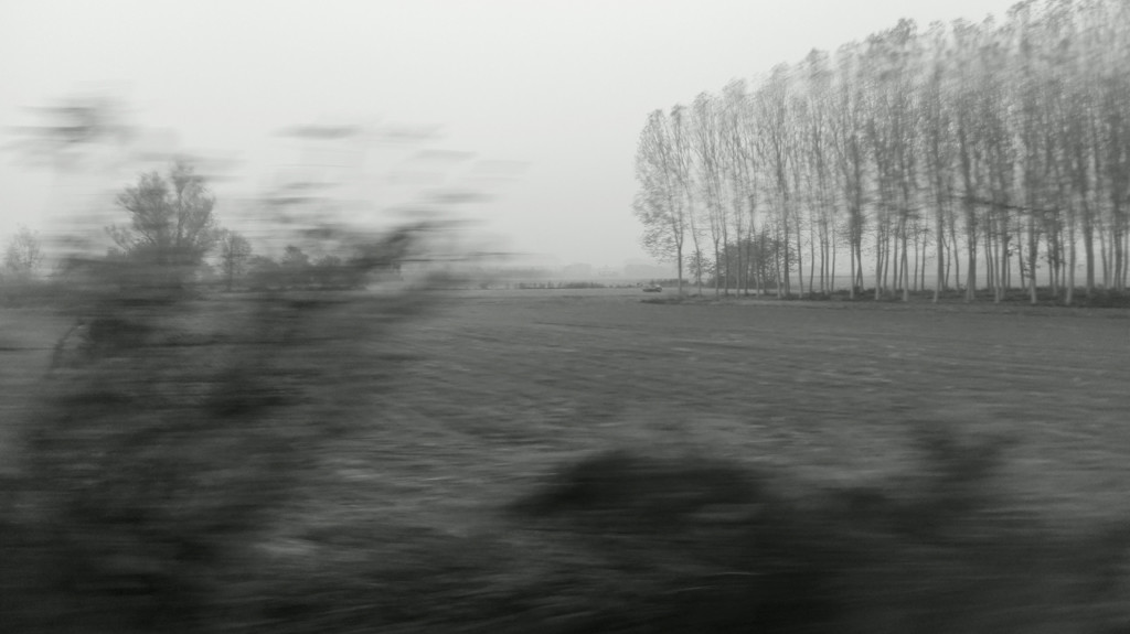 daltreno-6